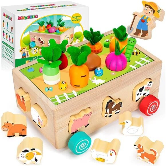 Toys for 2,3,4 Year Old Baby Boys and Girls, Educational Wooden Shape Sorting